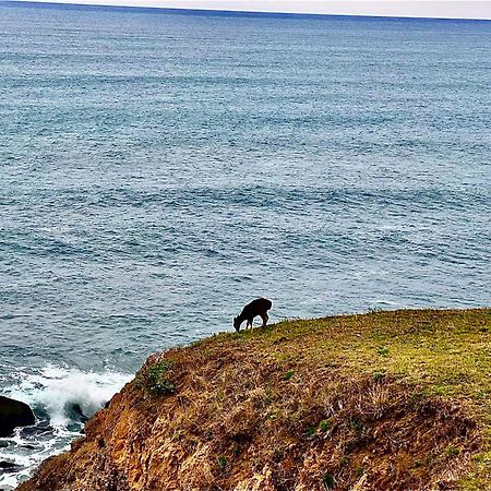 Inn Of The Lost Coast Shelter Cove Exteriér fotografie