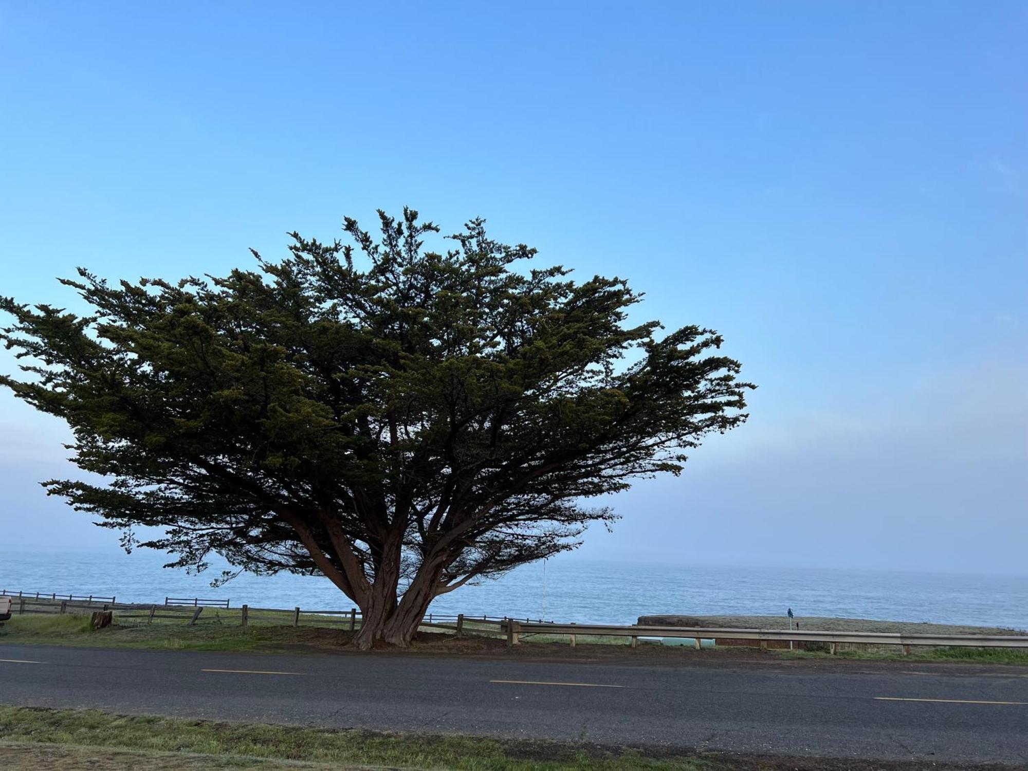 Inn Of The Lost Coast Shelter Cove Exteriér fotografie